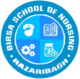 Birsa School Of Nursing